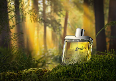 Bosco, a destra una bottiglia di profumo maschile appoggiata sul muschio. Dietro i raggi di sole attraversano gli alberi. Poetico e misterioso.