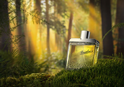Bosco, a destra una bottiglia di profumo maschile appoggiata sul muschio. Dietro i raggi di sole attraversano gli alberi. Poetico e misterioso.